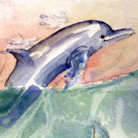 Bottlenosed Dolphin
