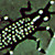 Waterlily Leaf Beetle